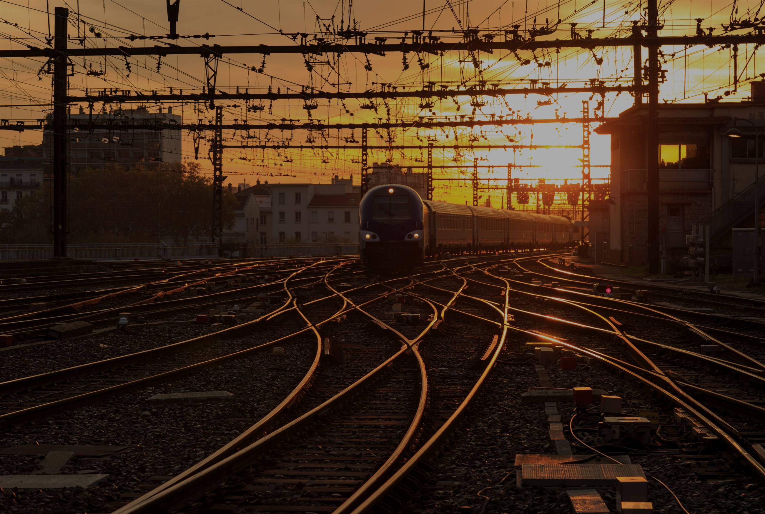 A train running head on into a low orange sun beneath a lattice of overhead wires.