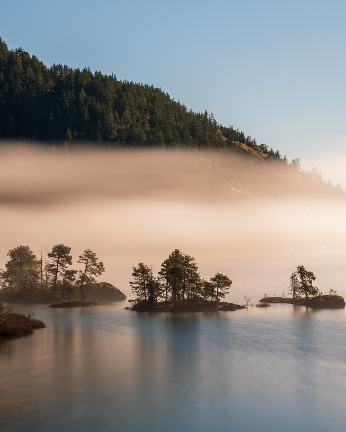 A misty coastline with small pine-covered islands at dawn.