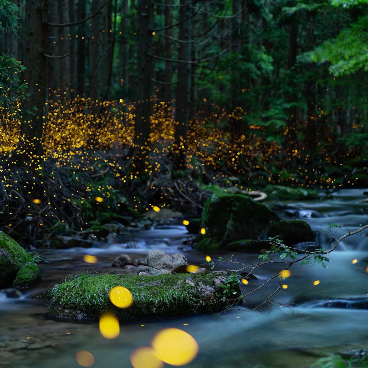 Fireflies glowing gold above a mossy forest stream at dusk.